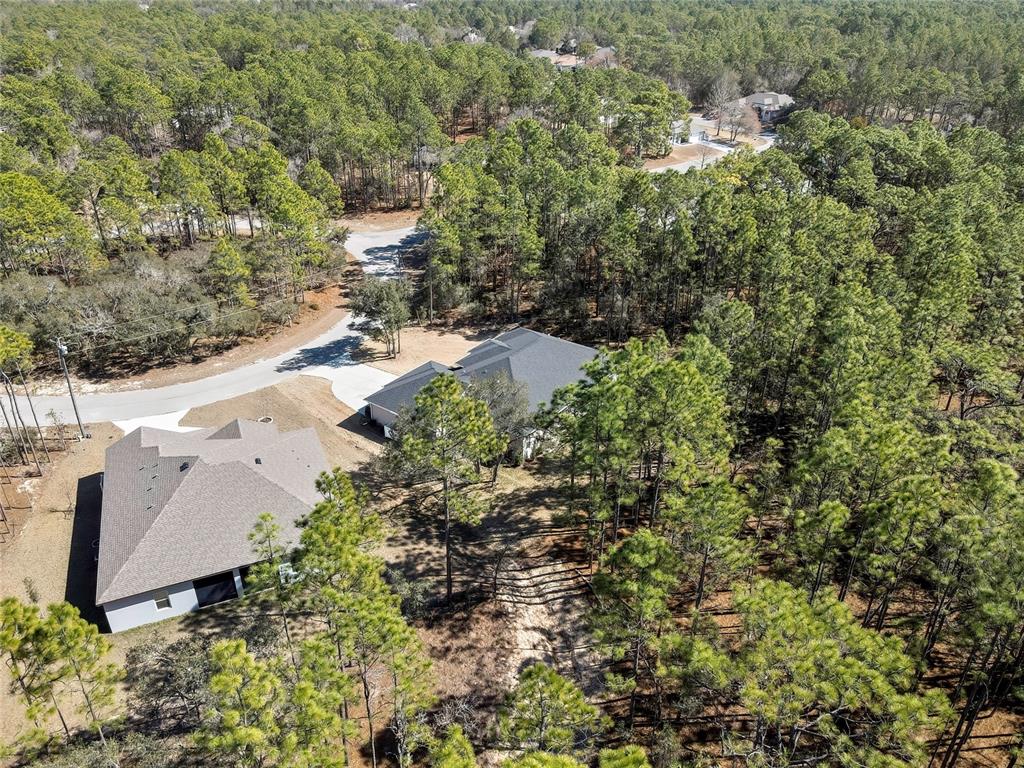 10 Milbark Court Homosassa, FL 34446 - Photo 47 of 56