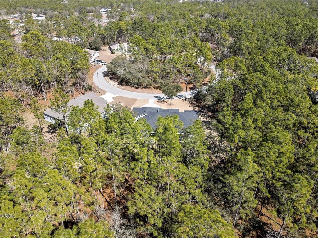 10 Milbark Court Homosassa, FL 34446 - Photo 48 of 56