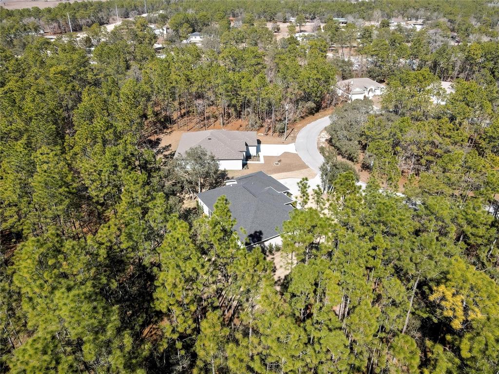 10 Milbark Court Homosassa, FL 34446 - Photo 49 of 56