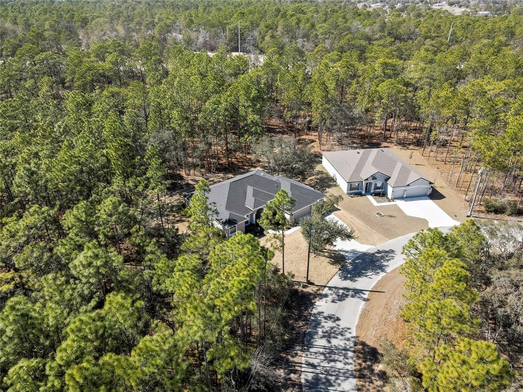 10 Milbark Court Homosassa, FL 34446 - Photo 51 of 56