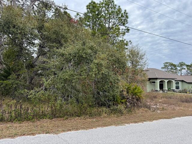10439 Gypsy Avenue Weeki Wachee, FL 34613 - Photo 4 of 12 a view of a yard in front of house