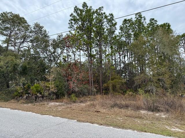 10439 Gypsy Avenue Weeki Wachee, FL 34613 - Photo 8 of 12 a view of a yard with a tree