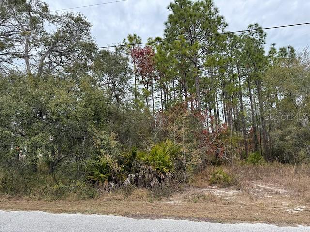 10439 Gypsy Avenue Weeki Wachee, FL 34613 - Photo 9 of 12 a view of a yard with plants and trees