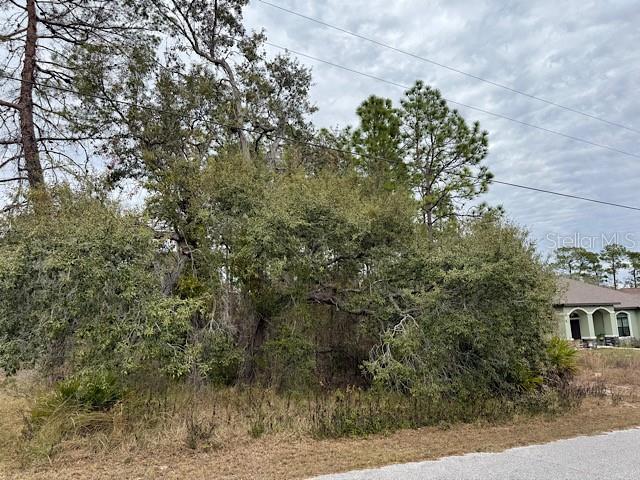 10439 Gypsy Avenue Weeki Wachee, FL 34613 - Photo 10 of 12 a view of a yard