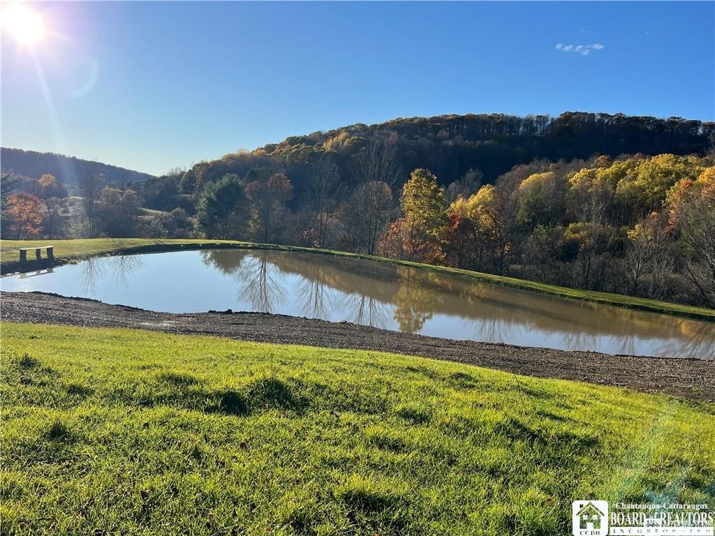 8 Co Road Friendship, NY 14739 - Photo 1 of 25
