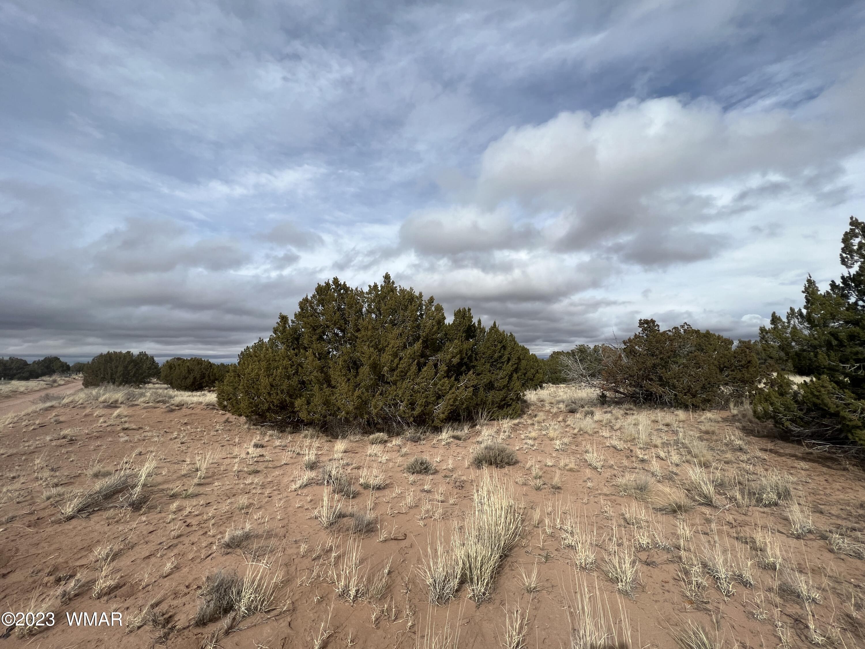 4053 East Pinto Road Snowflake, AZ 85937 - Photo 4 of 11 IMG_8373