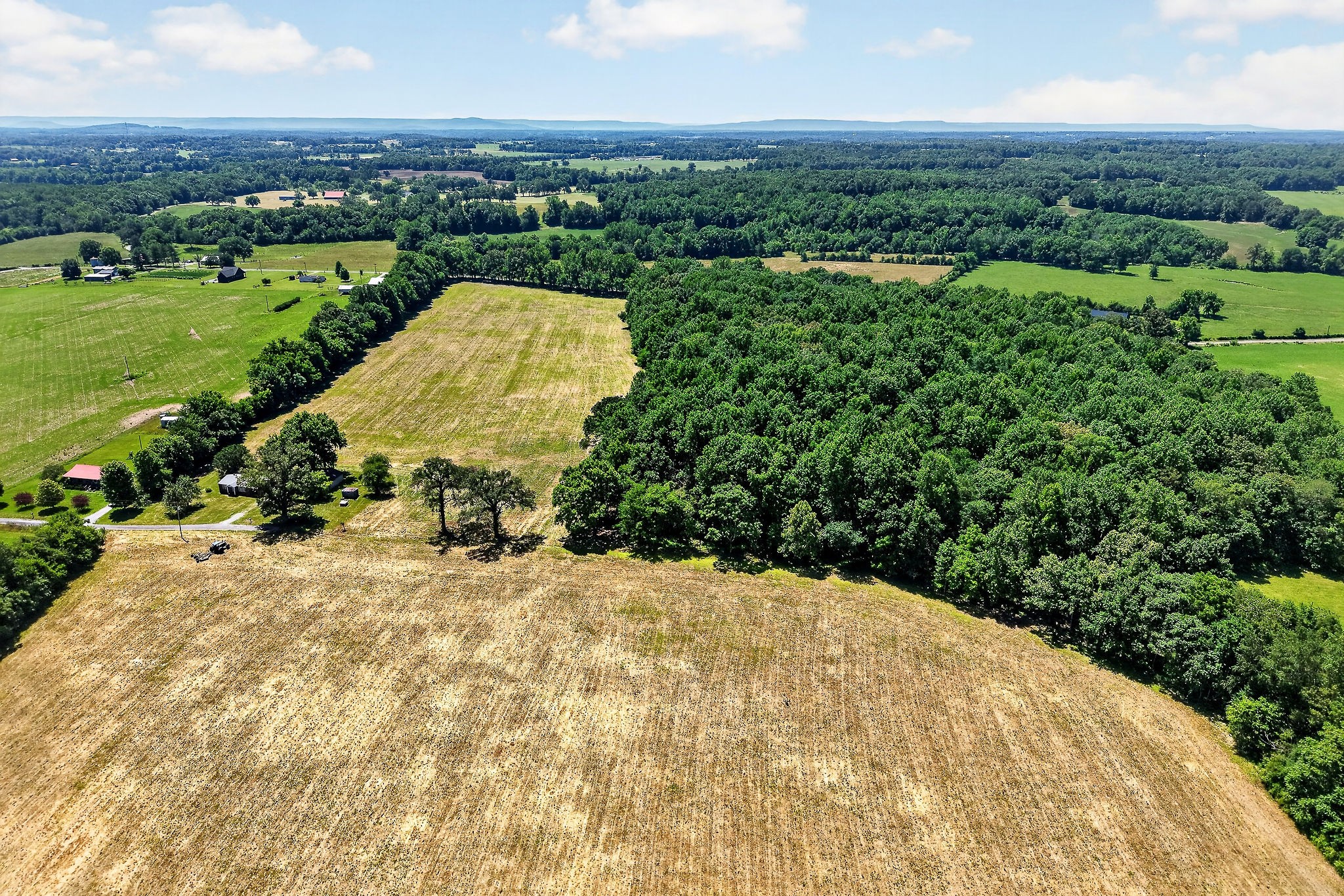 0 Lowery Road Smithville, TN 37166 - Photo 3 of 13