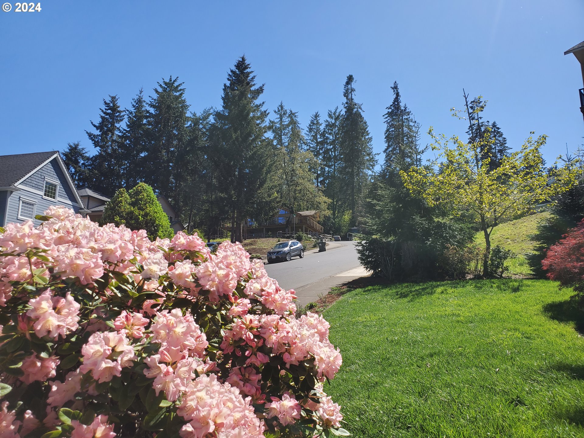 952 South 67th Street Springfield, OR 97478 - Photo 14 of 44 a view of a street with a house in the background