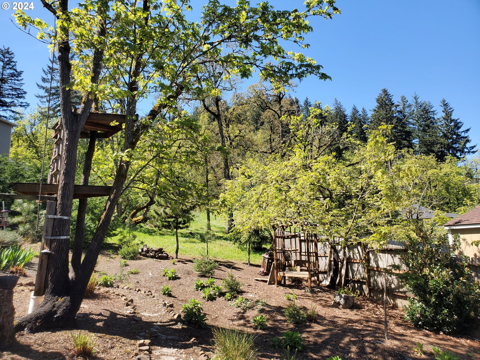 952 South 67th Street Springfield, OR 97478 - Photo 41 of 44 a view of a tree with a yard