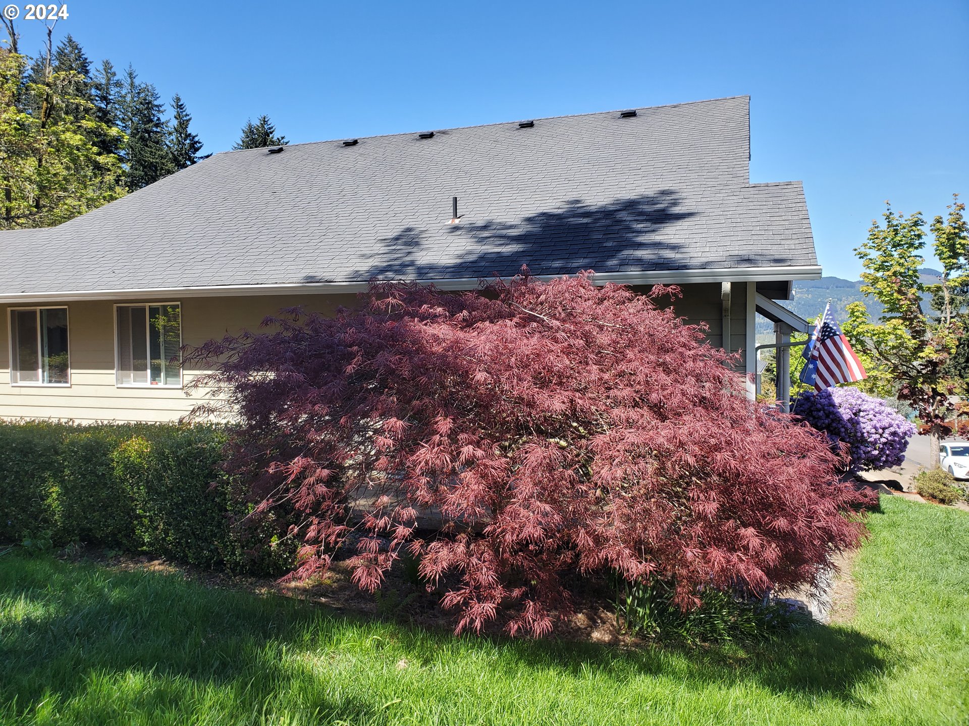 952 South 67th Street Springfield, OR 97478 - Photo 6 of 44 a view of a house with a backyard