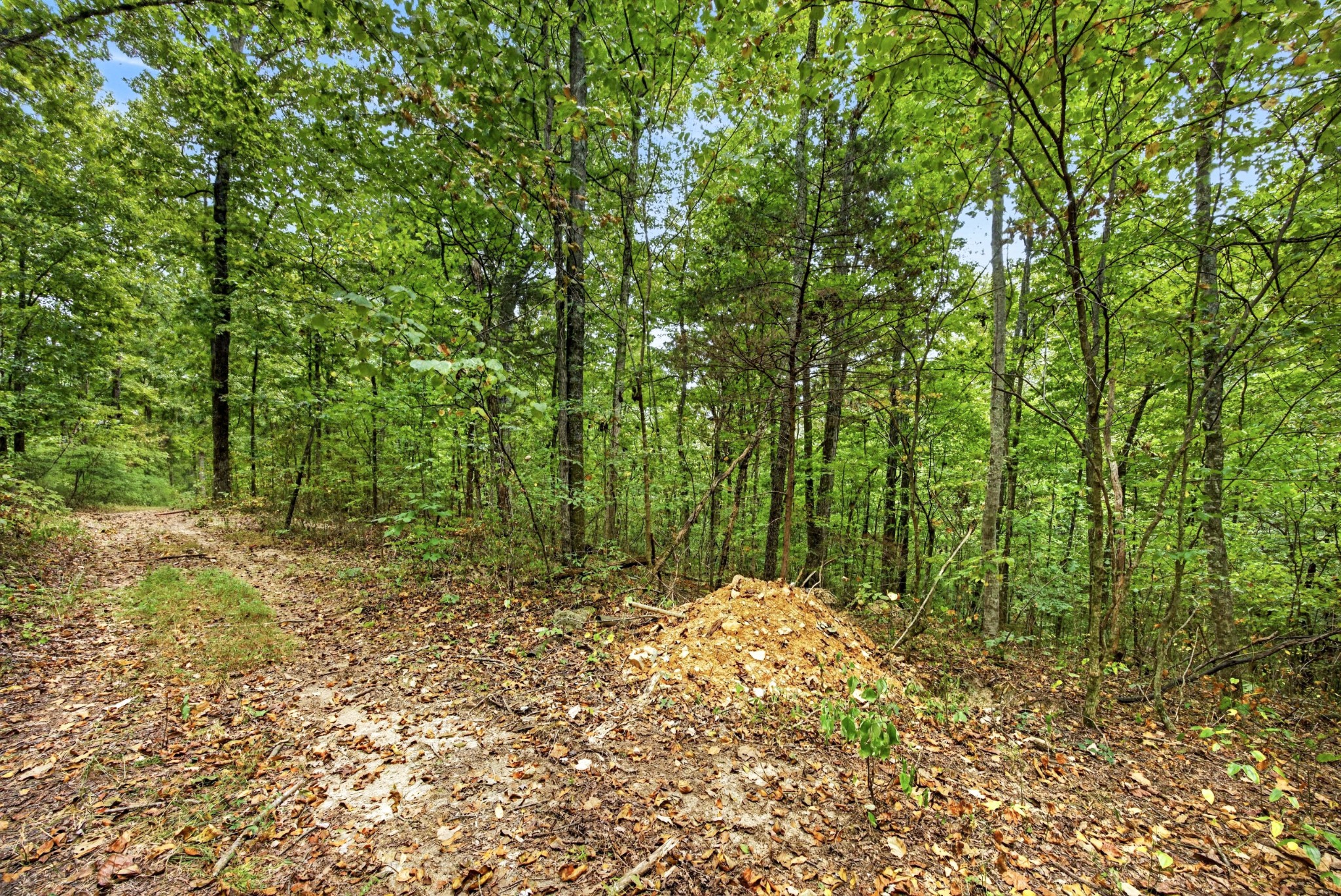 0 Timber Ridge Lane Celina, TN 38551 - Photo 7 of 20 Gallery Image 7