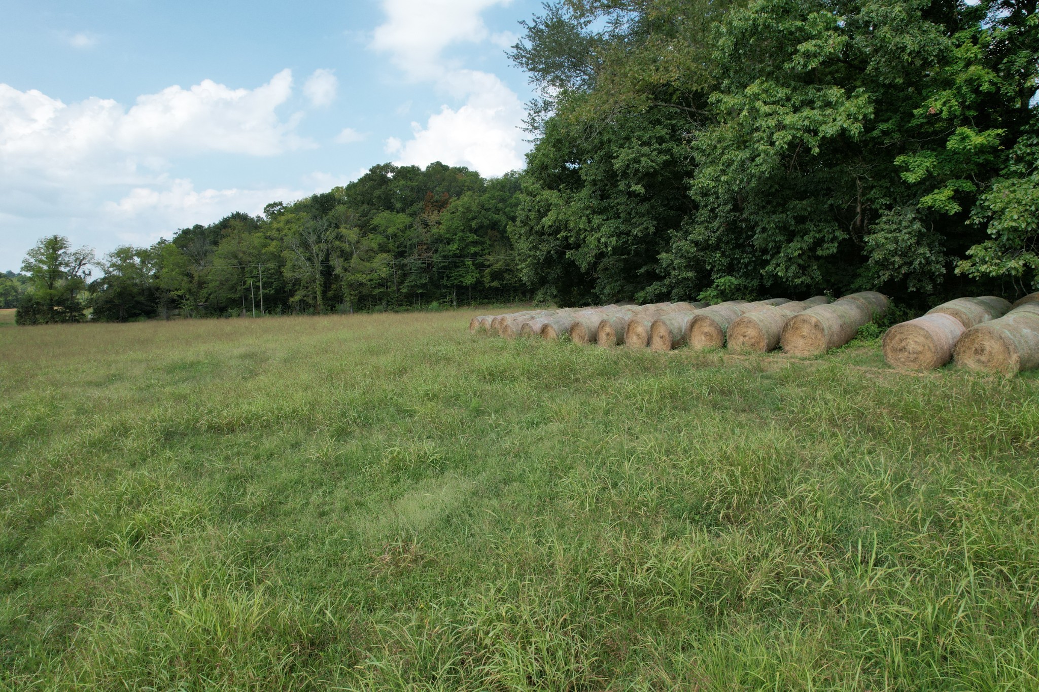 2 North Lick Creek Road Franklin, TN 37064 - Photo 11 of 32 Gallery Image 11