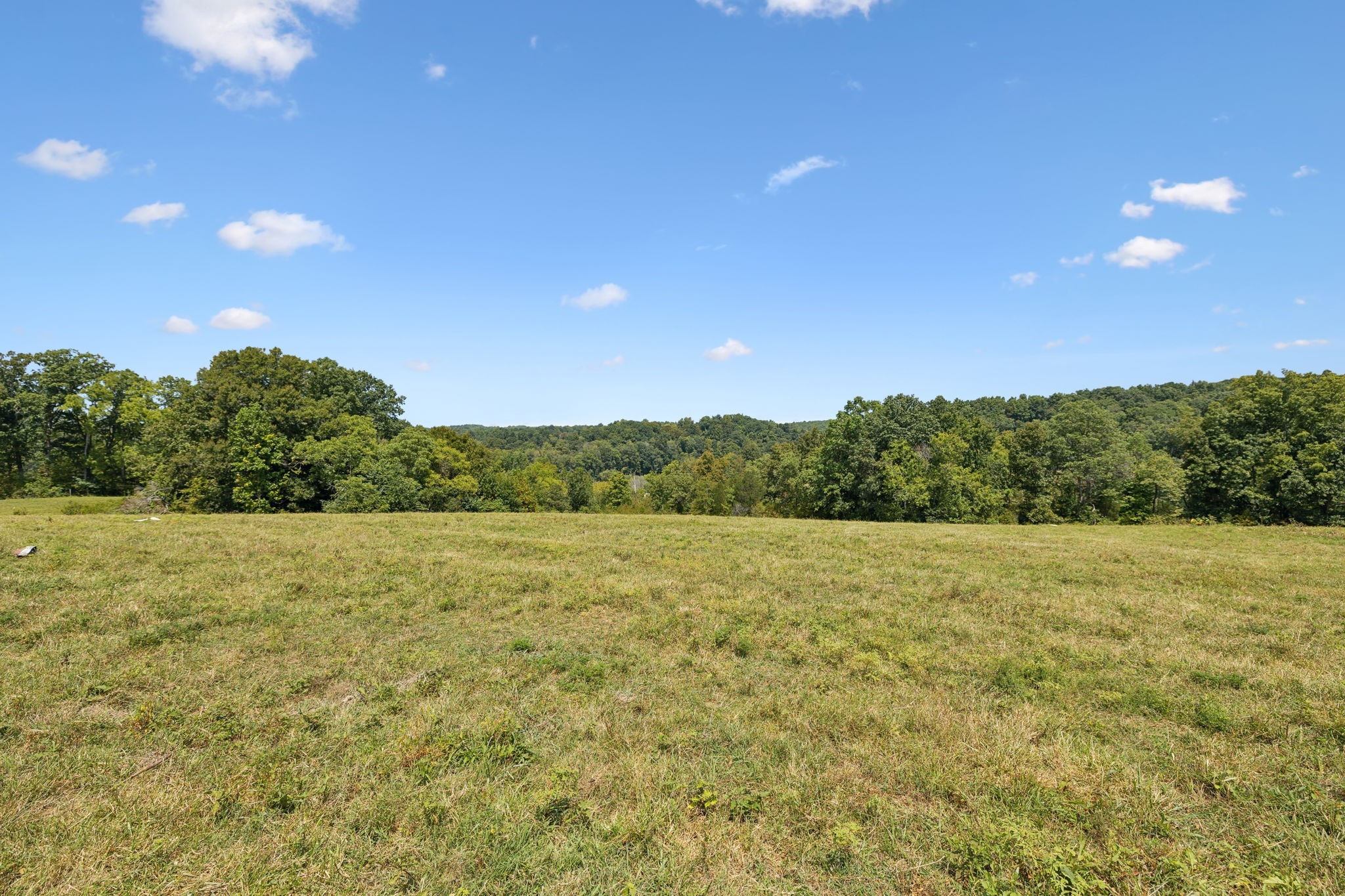 2 North Lick Creek Road Franklin, TN 37064 - Photo 12 of 32 Gallery Image 12