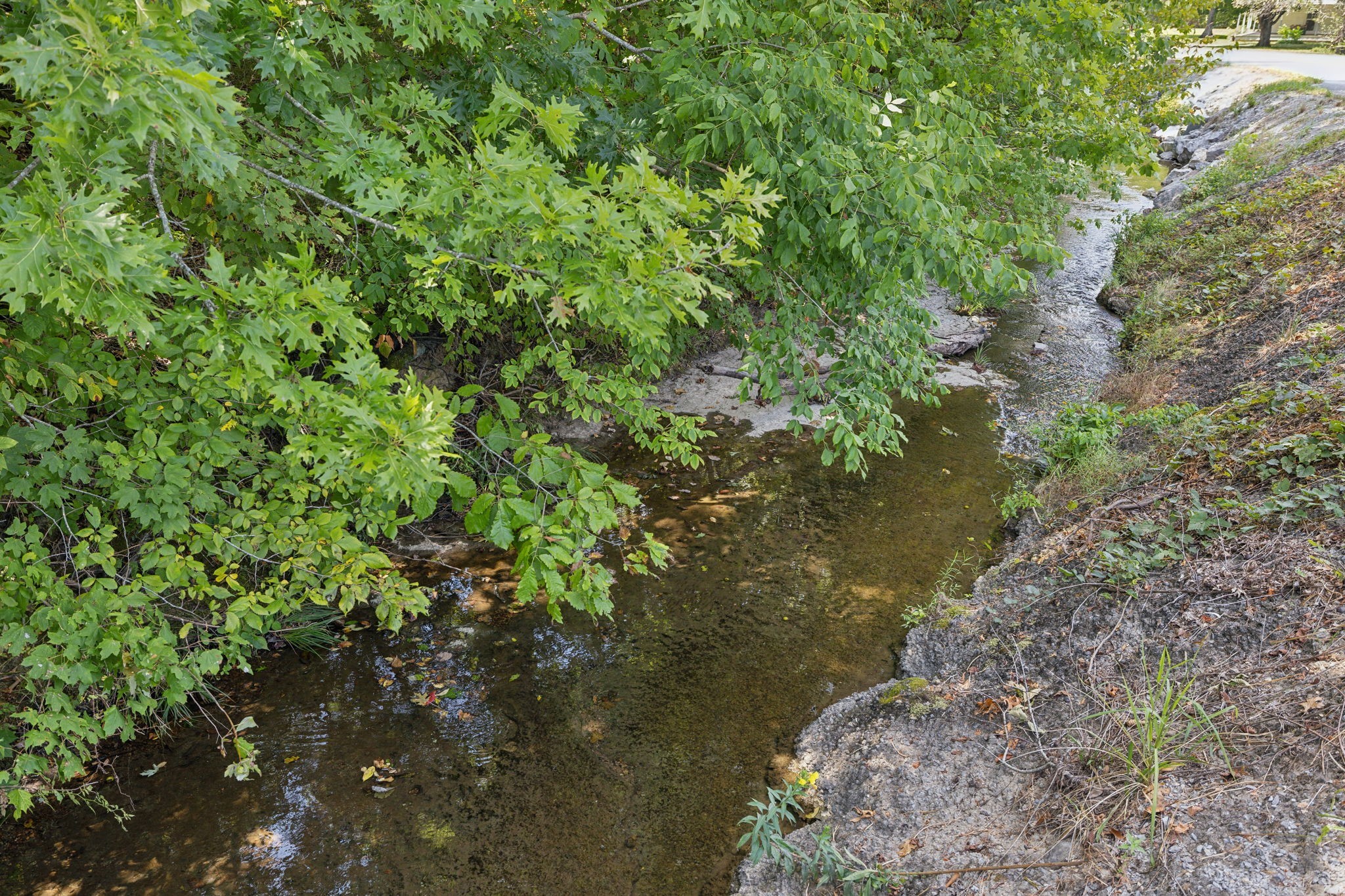 2 North Lick Creek Road Franklin, TN 37064 - Photo 13 of 32 Gallery Image 13