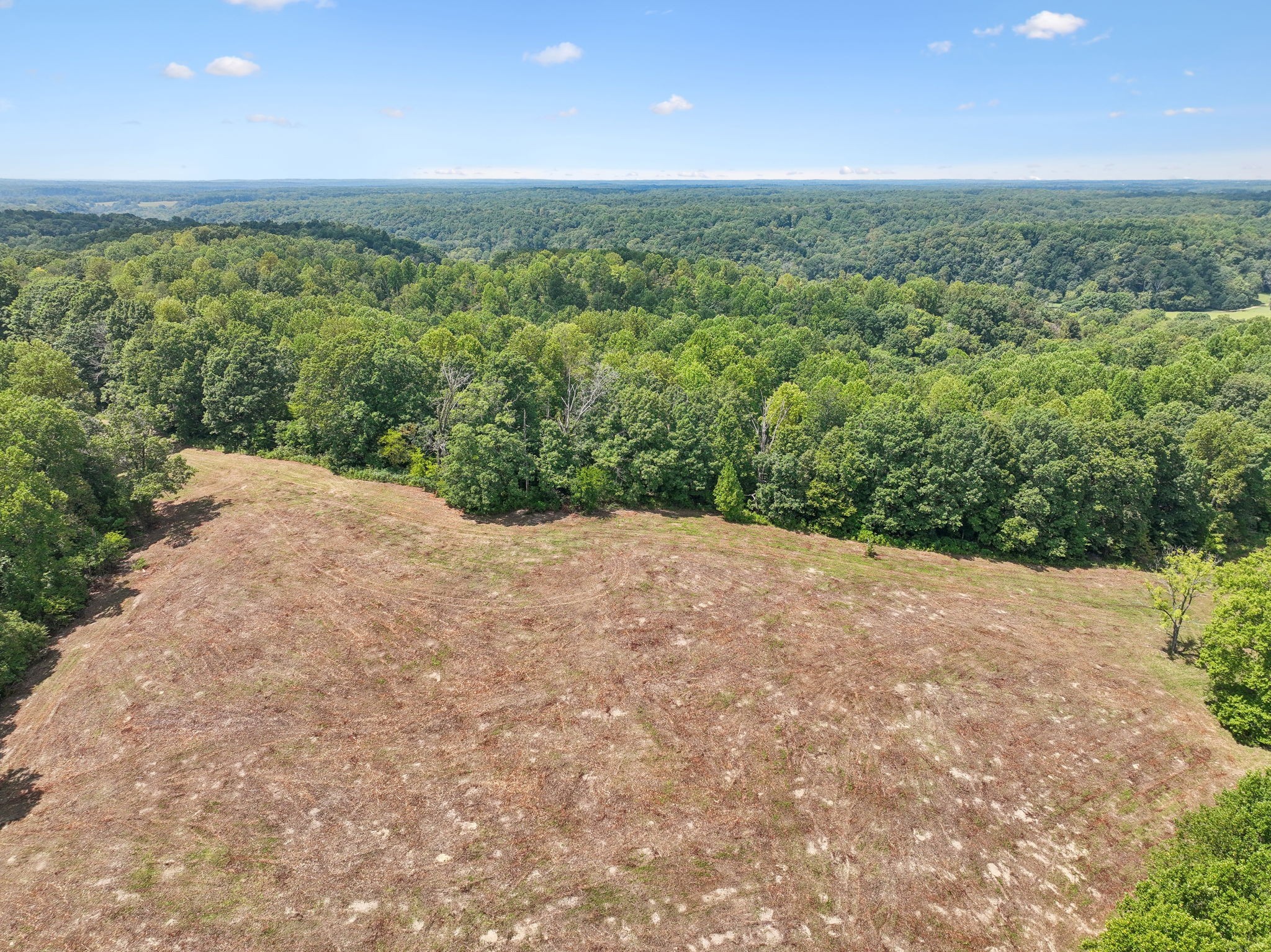 2 North Lick Creek Road Franklin, TN 37064 - Photo 18 of 32 Gallery Image 18