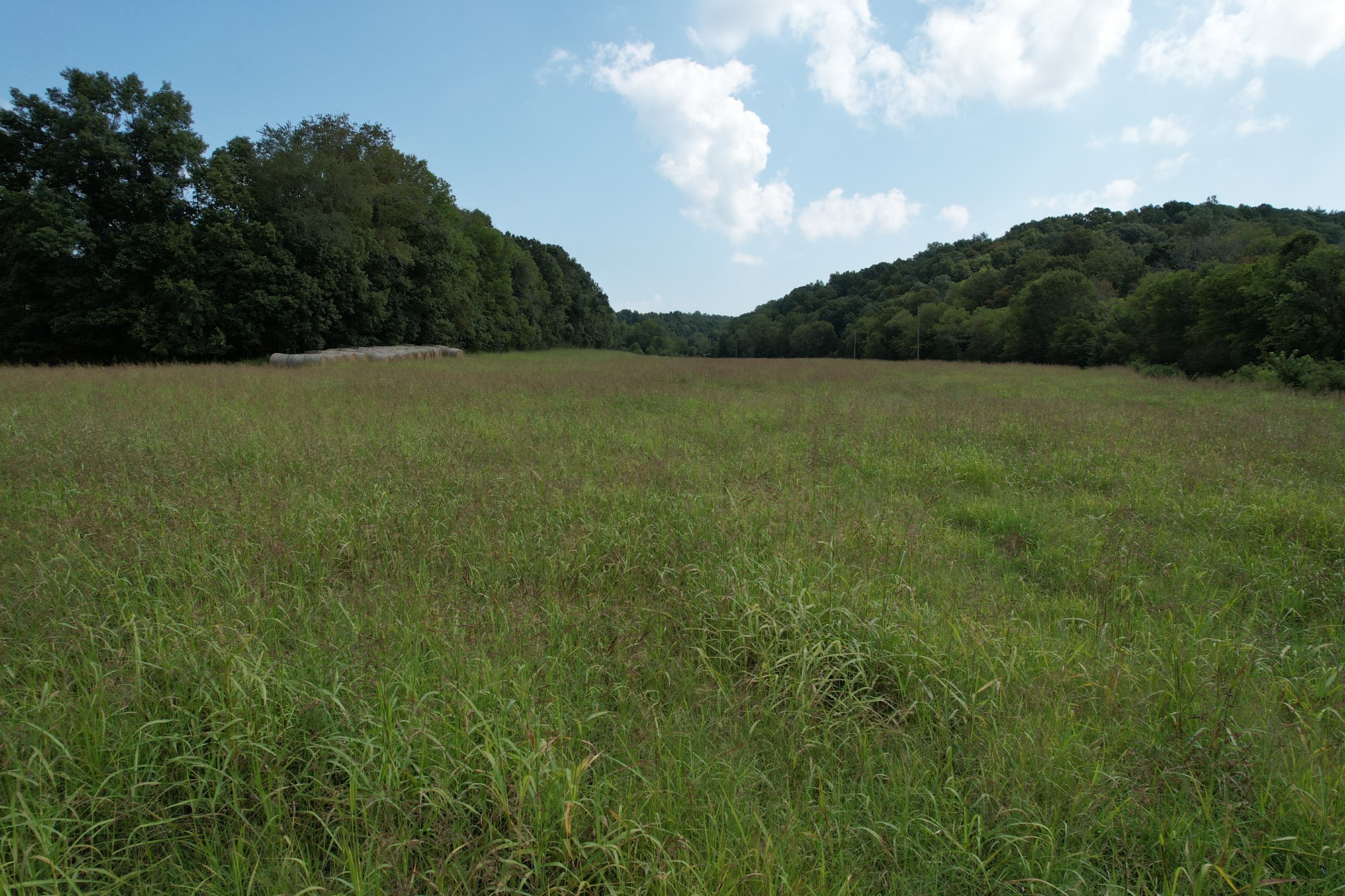 2 North Lick Creek Road Franklin, TN 37064 - Photo 2 of 32 Gallery Image 2
