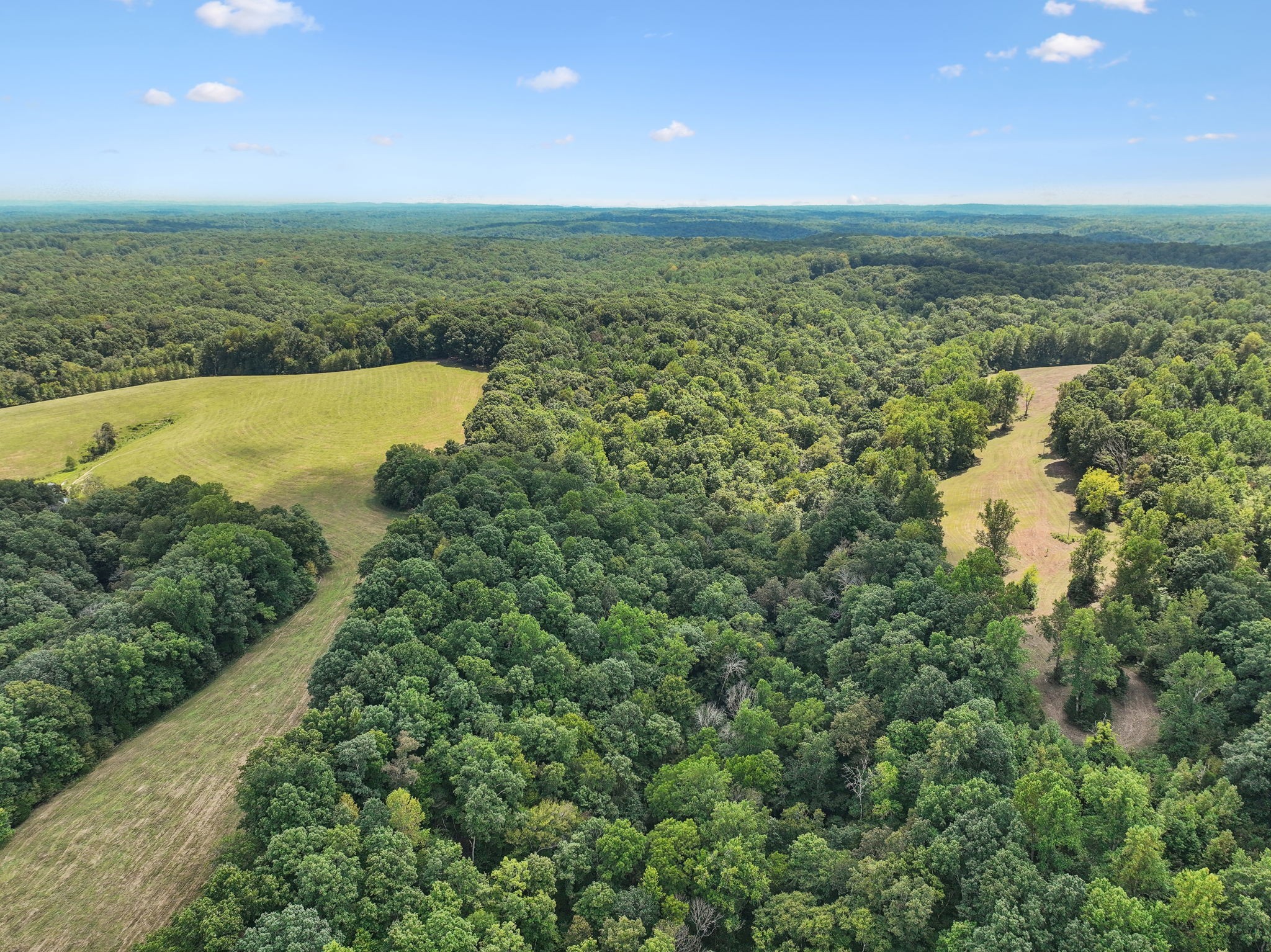 2 North Lick Creek Road Franklin, TN 37064 - Photo 23 of 32 Gallery Image 23