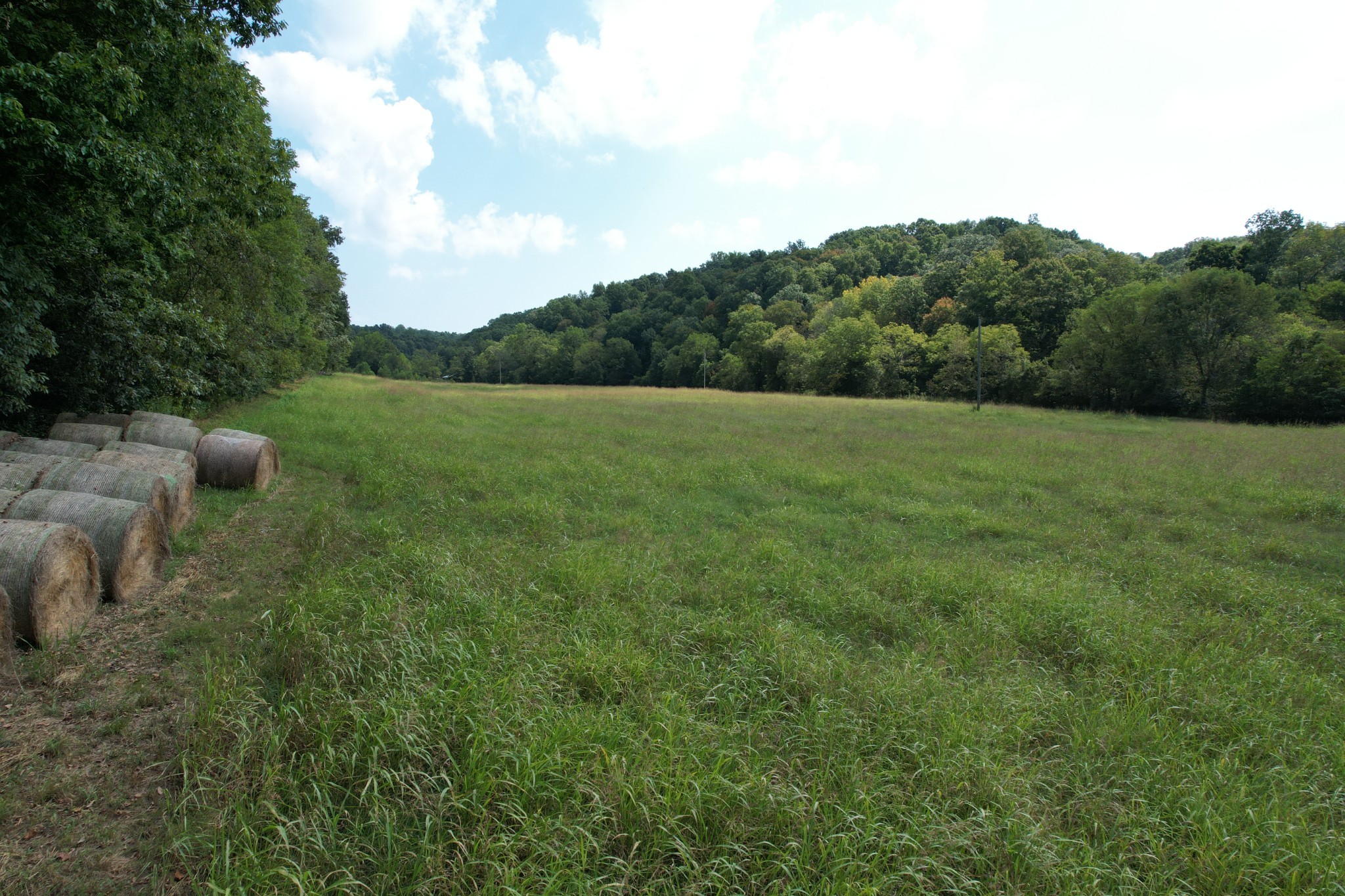 2 North Lick Creek Road Franklin, TN 37064 - Photo 25 of 32 Gallery Image 25