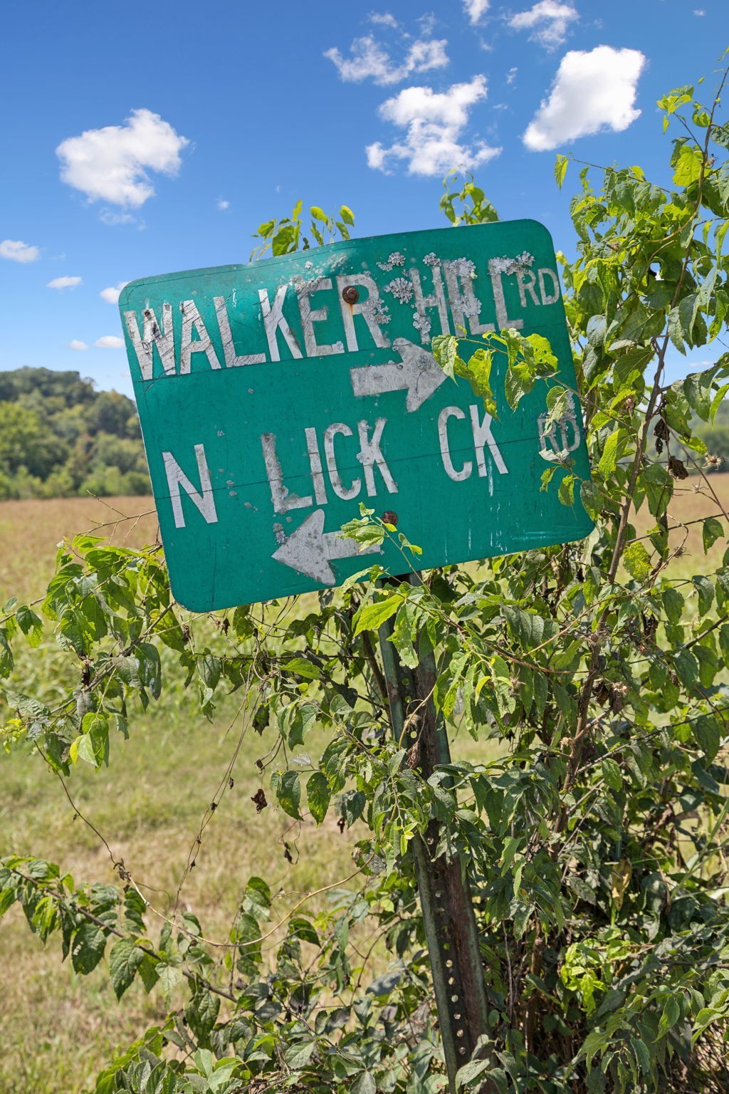 2 North Lick Creek Road Franklin, TN 37064 - Photo 8 of 32 Gallery Image 8