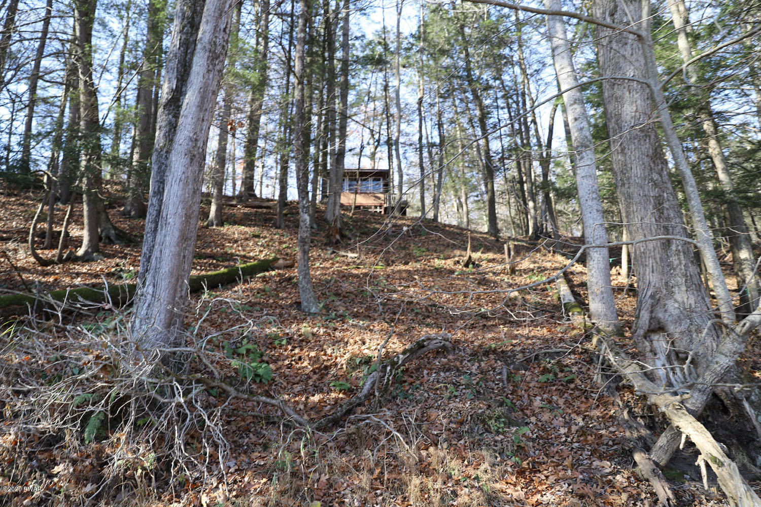 68 Burma Road Damascus, PA 18415 - Photo 14 of 17