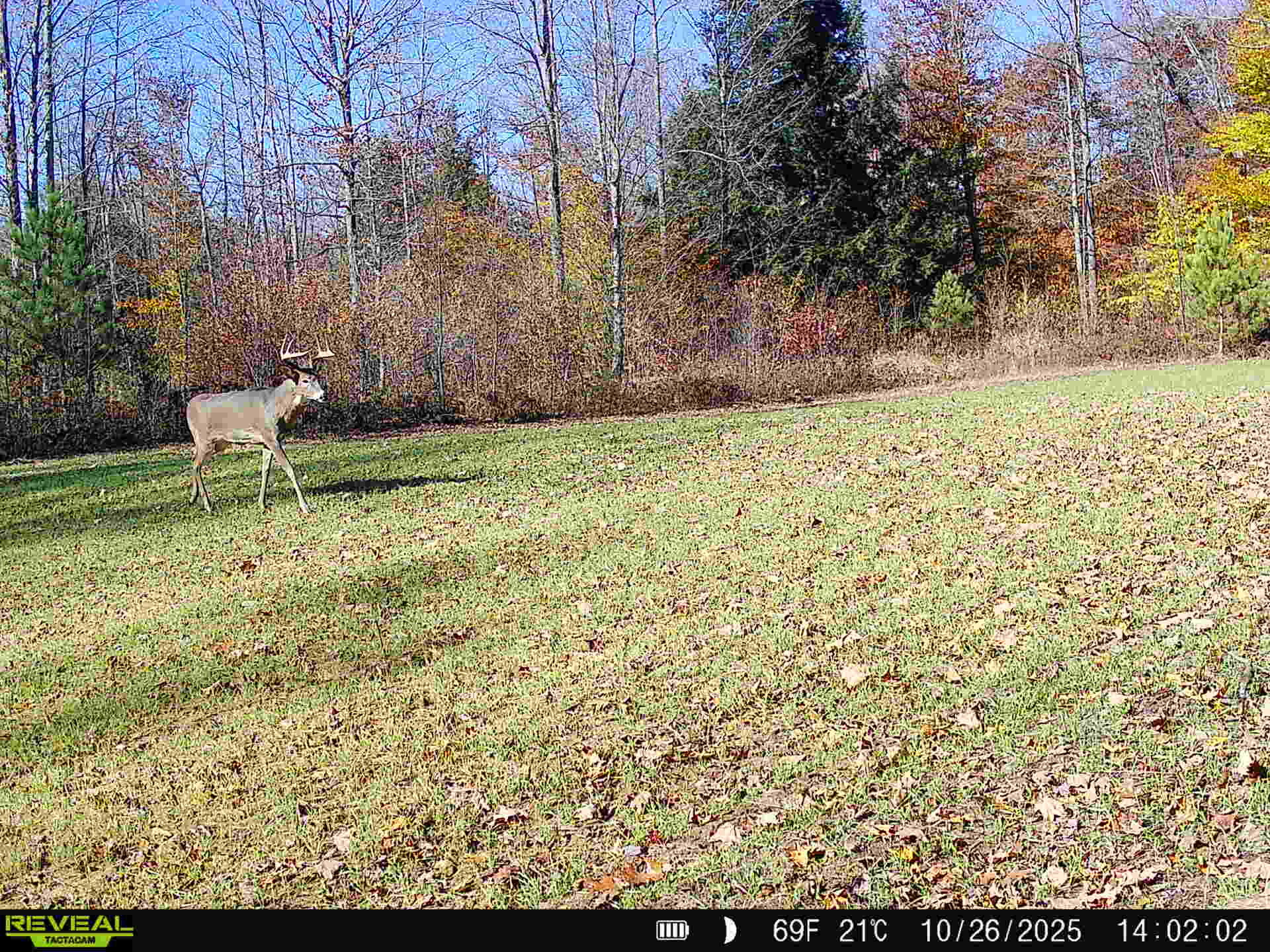 11547 1 Mile Road Leroy, MI 49655 - Photo 6 of 73 8_(1)