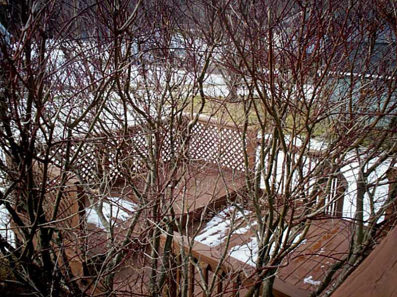 2694 Savannah Road New Castle, PA 16101 - Photo 14 of 15 Patio/Deck.