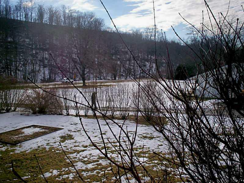 2694 Savannah Road New Castle, PA 16101 - Photo 8 of 15 Yard/Garden.