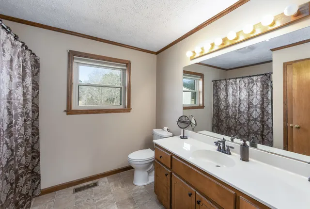 a view of a house with a yard and a large tree