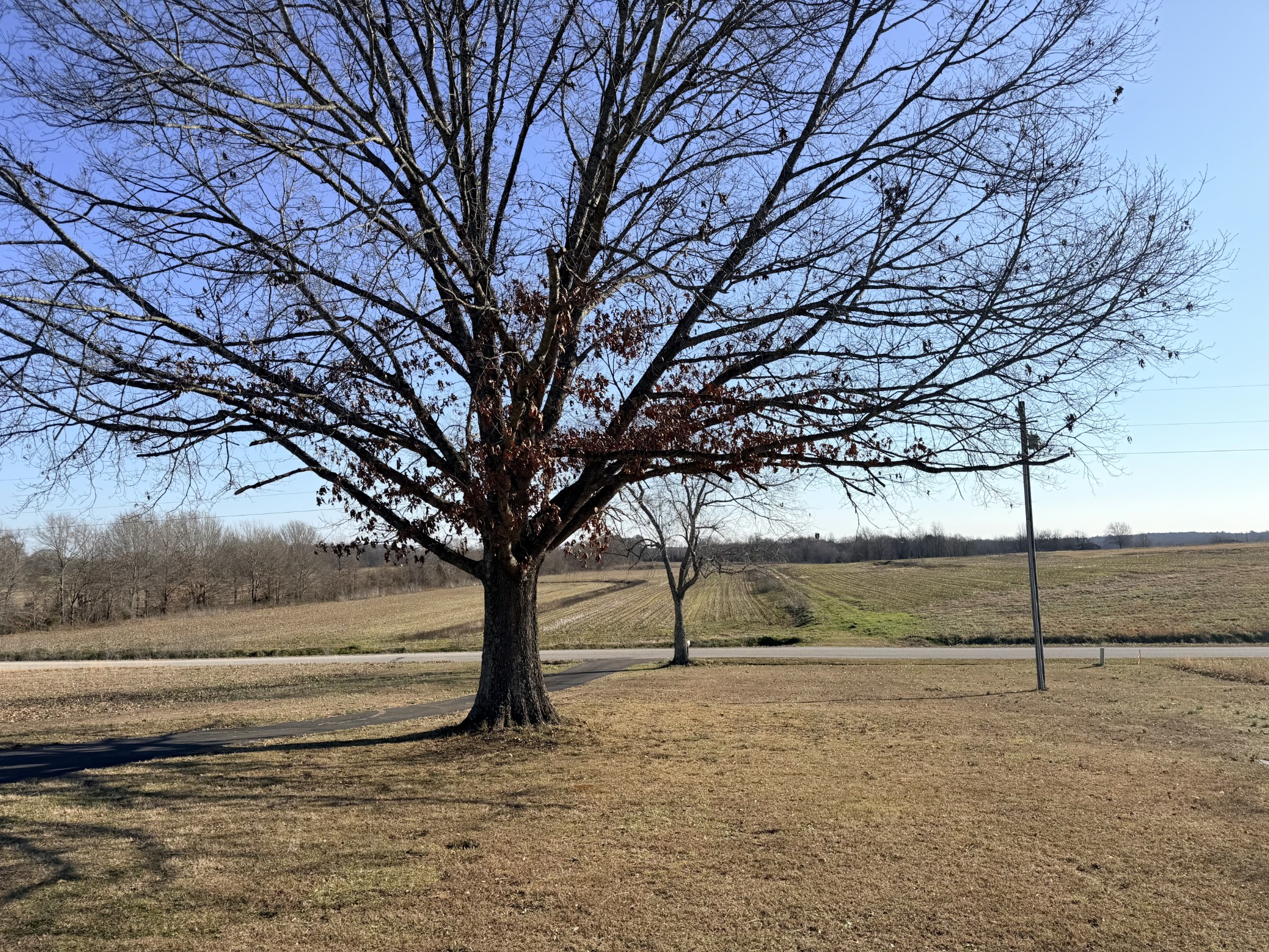 1310 Inca Road Henderson, TN 38340 - Photo 47 of 52