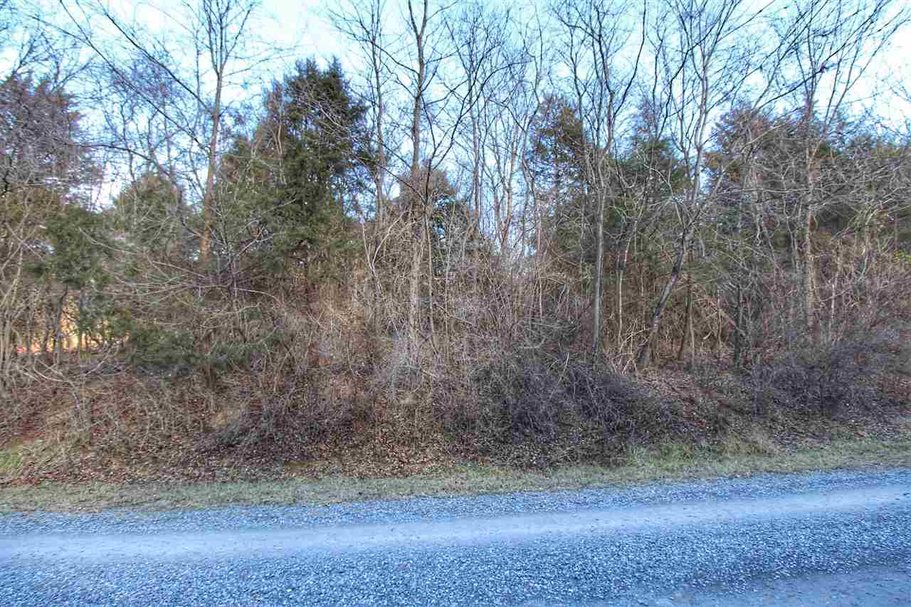 River Valley Road Rileyville, VA 22650 - Photo 2 of 7 a view of a yard