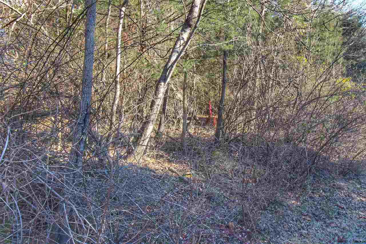 River Valley Road Rileyville, VA 22650 - Photo 3 of 7 a view of forest