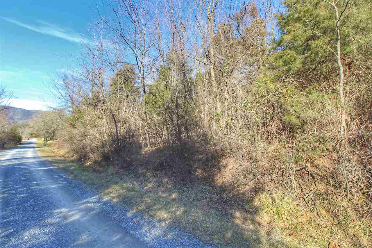 River Valley Road Rileyville, VA 22650 - Photo 4 of 7 a view of a yard with trees