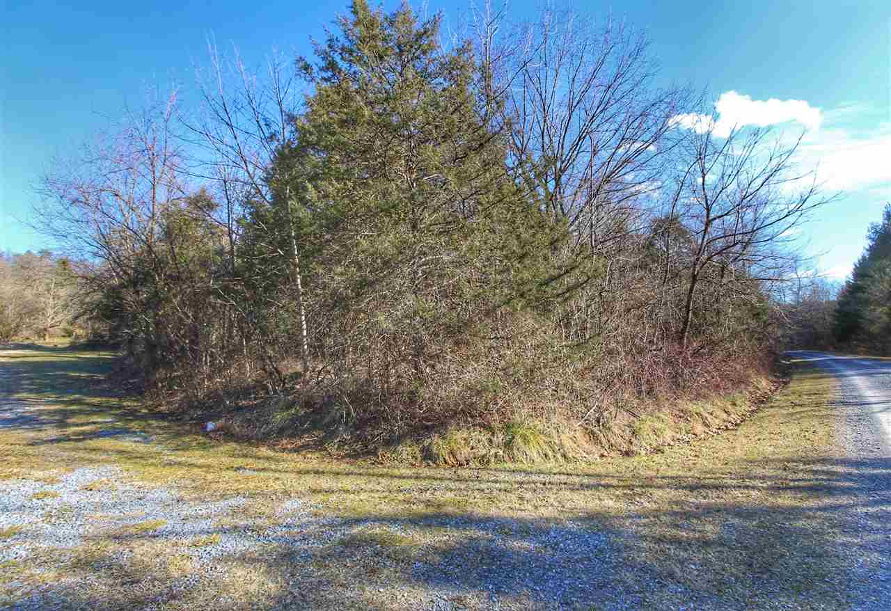 River Valley Road Rileyville, VA 22650 - Photo 5 of 7 a view of a yard with large trees