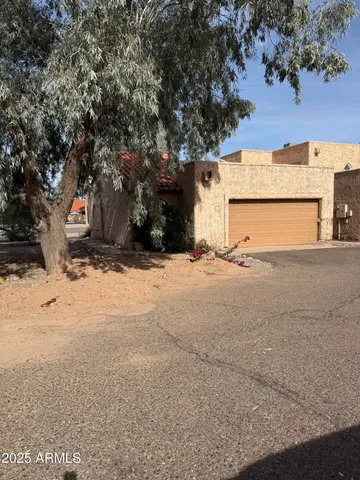 a view of large tree with yard