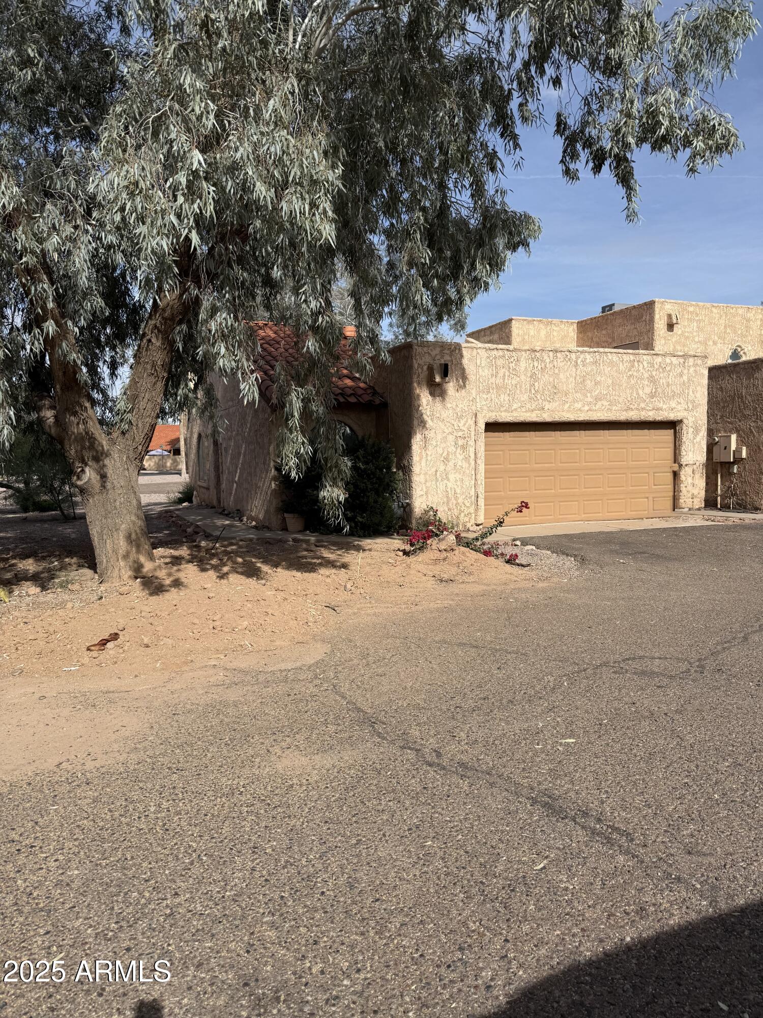 1915 North Ave De Palmas Casa Grande, AZ 85122 - Photo 3 of 24 a view of large tree with yard