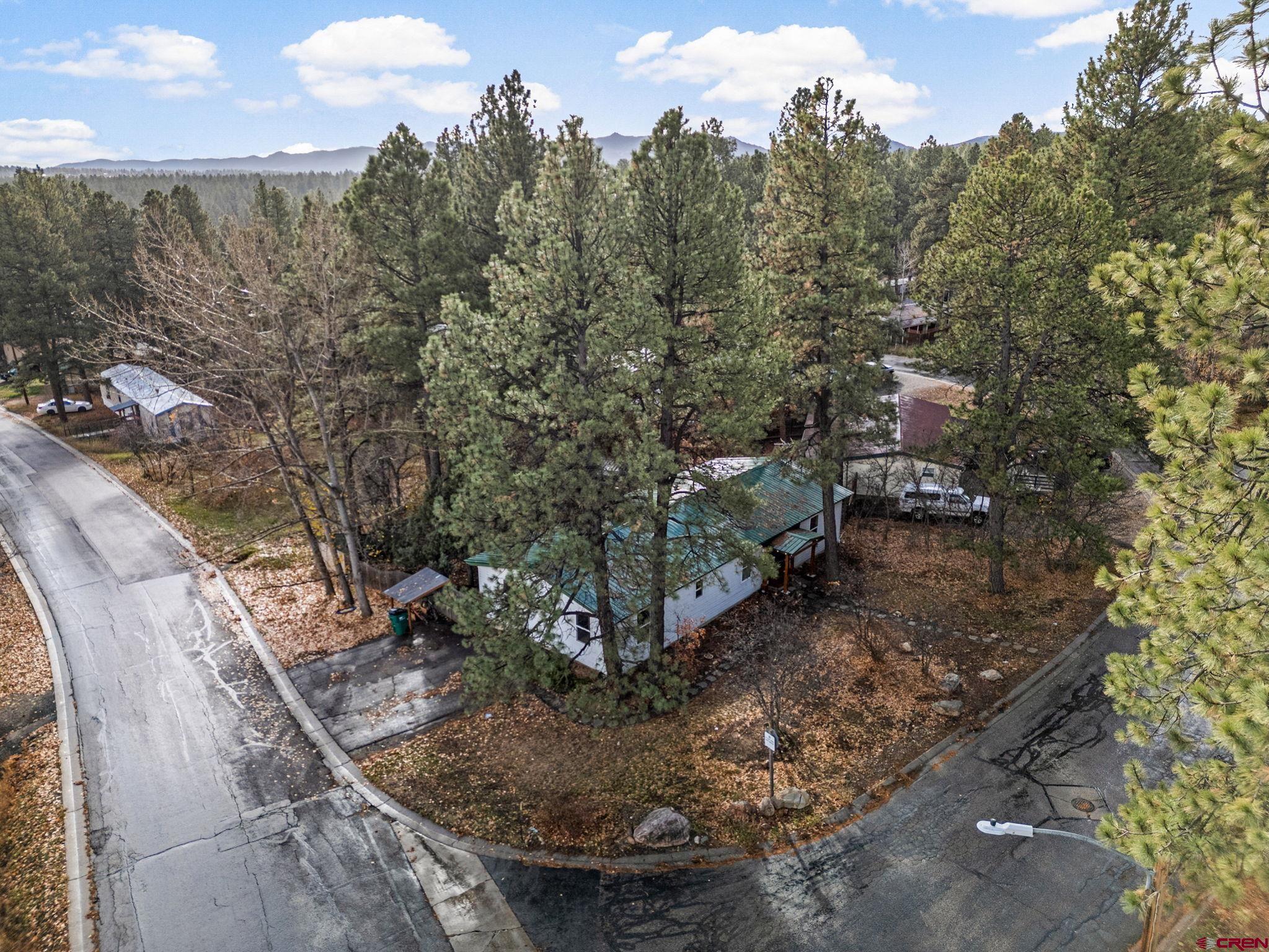 199 Timber Drive Durango, CO 81303 - Photo 2 of 29 a view of a yard with large trees