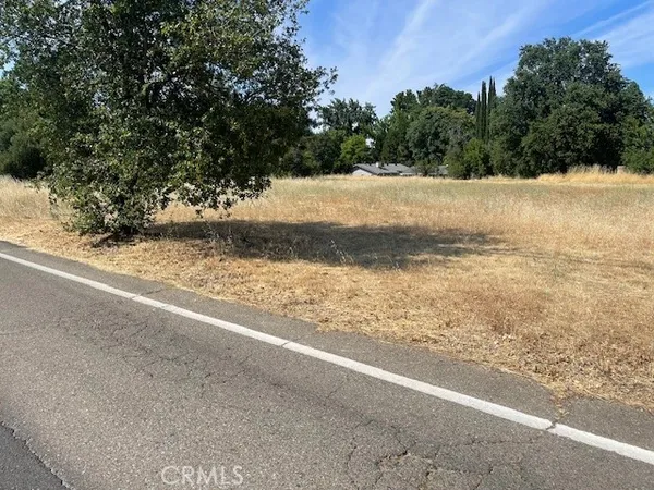 a view of a yard with a large tree