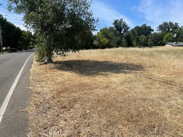 a view of a yard with a tree