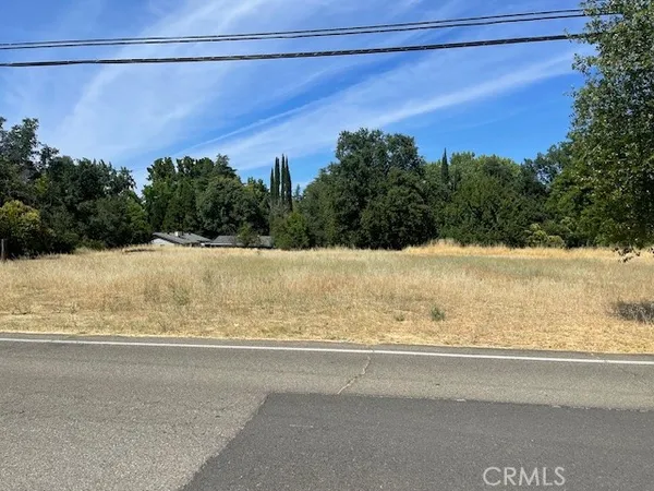 a view of a yard next to a road