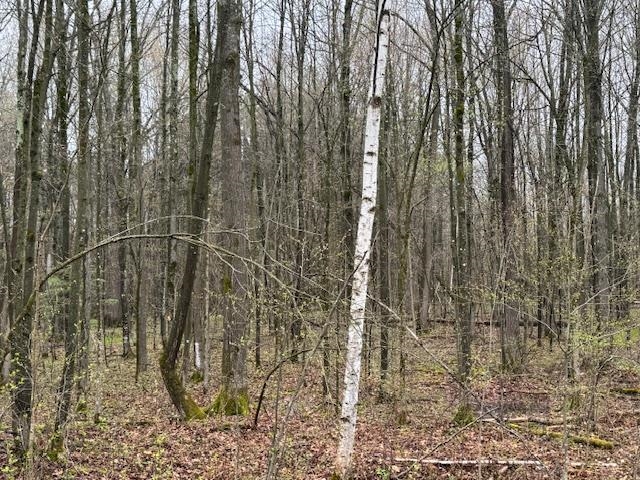 N5134 County Road South Gilman, WI 54433 - Photo 1 of 1