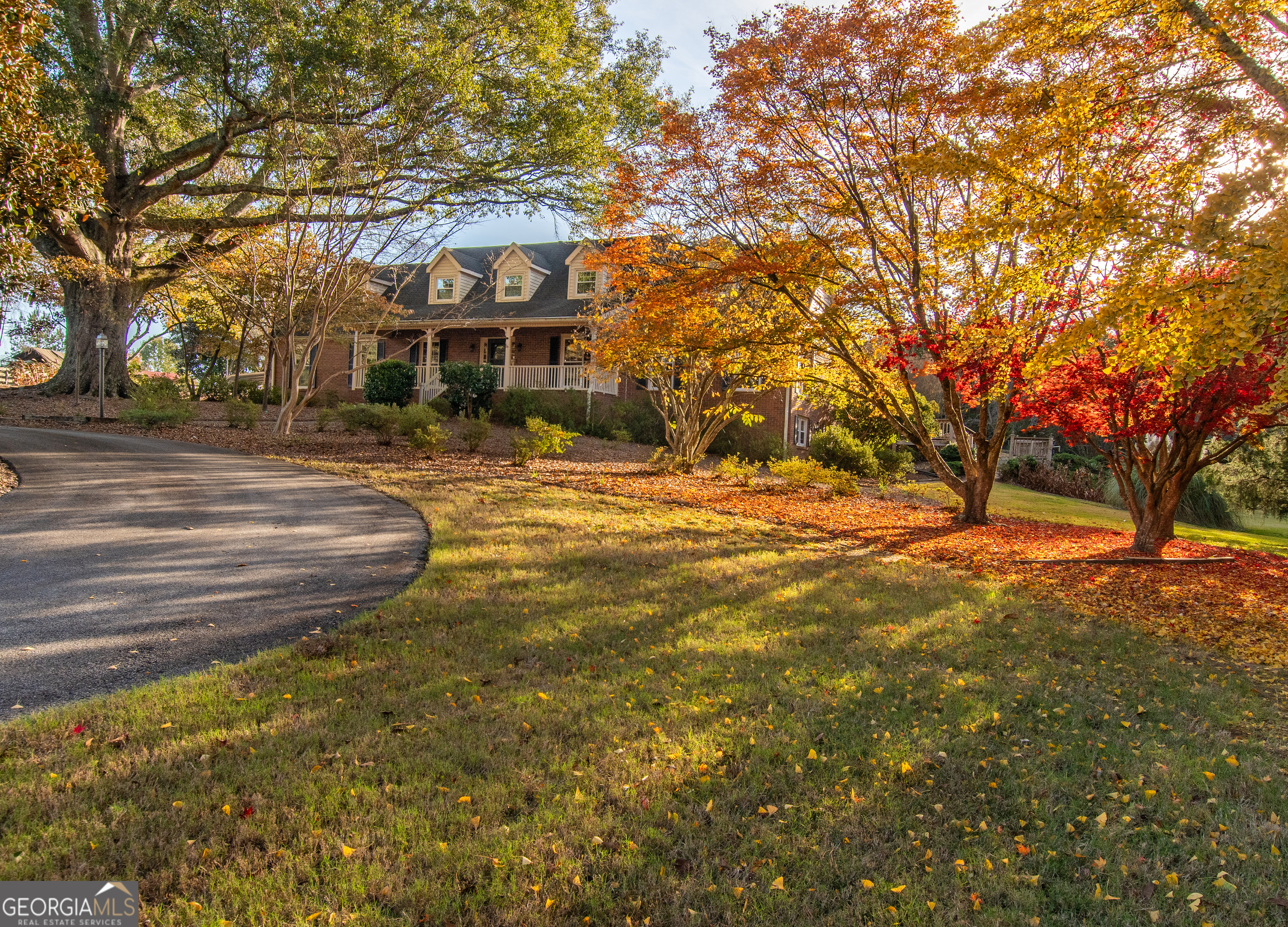13819 Woolsey Road Hampton, GA 30228 - Photo 11 of 100 a front view of a house with a yard