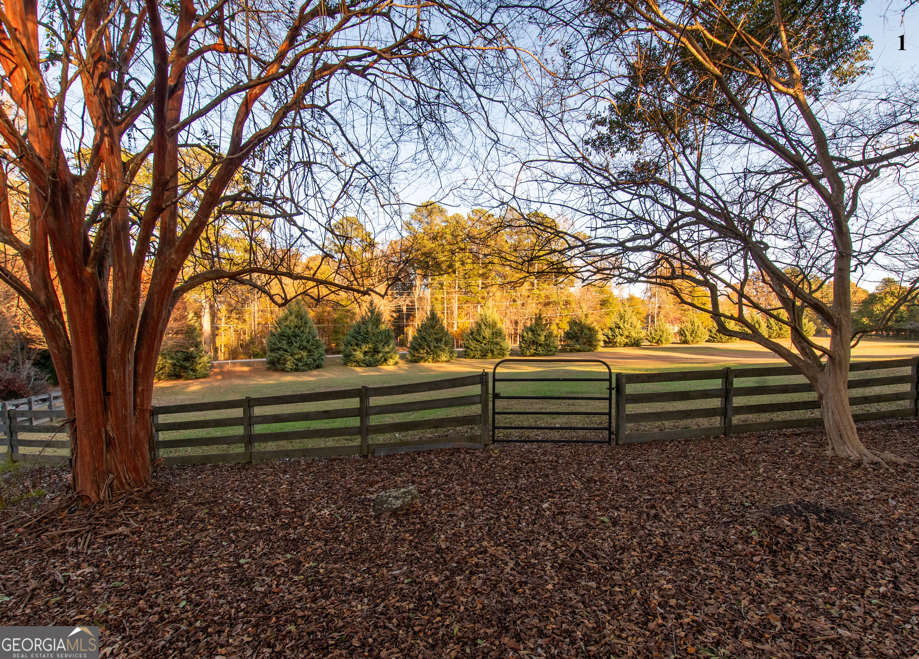 13819 Woolsey Road Hampton, GA 30228 - Photo 23 of 100