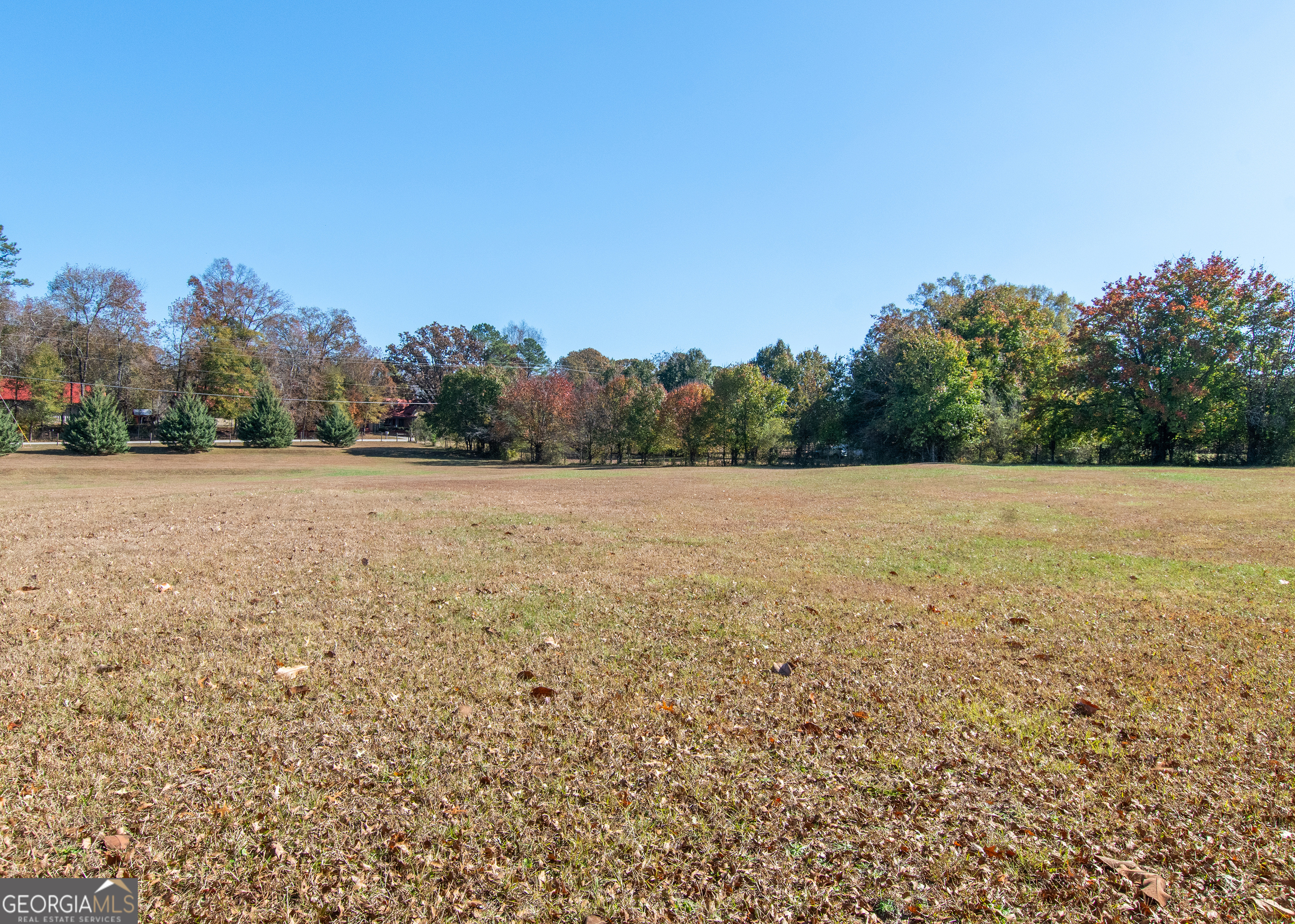 13819 Woolsey Road Hampton, GA 30228 - Photo 26 of 100 a view of a field with trees in the background