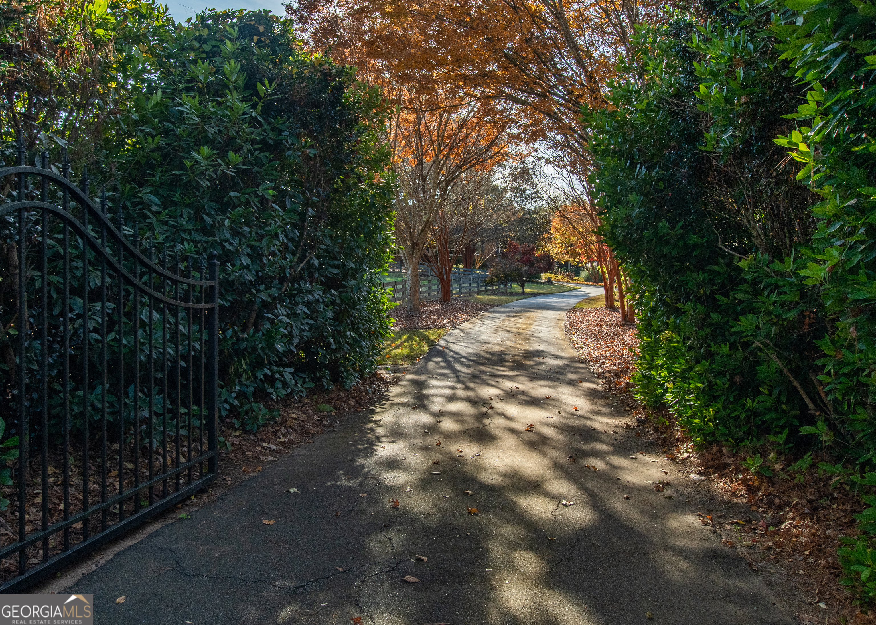 13819 Woolsey Road Hampton, GA 30228 - Photo 3 of 100 a view of a yard with plants and trees