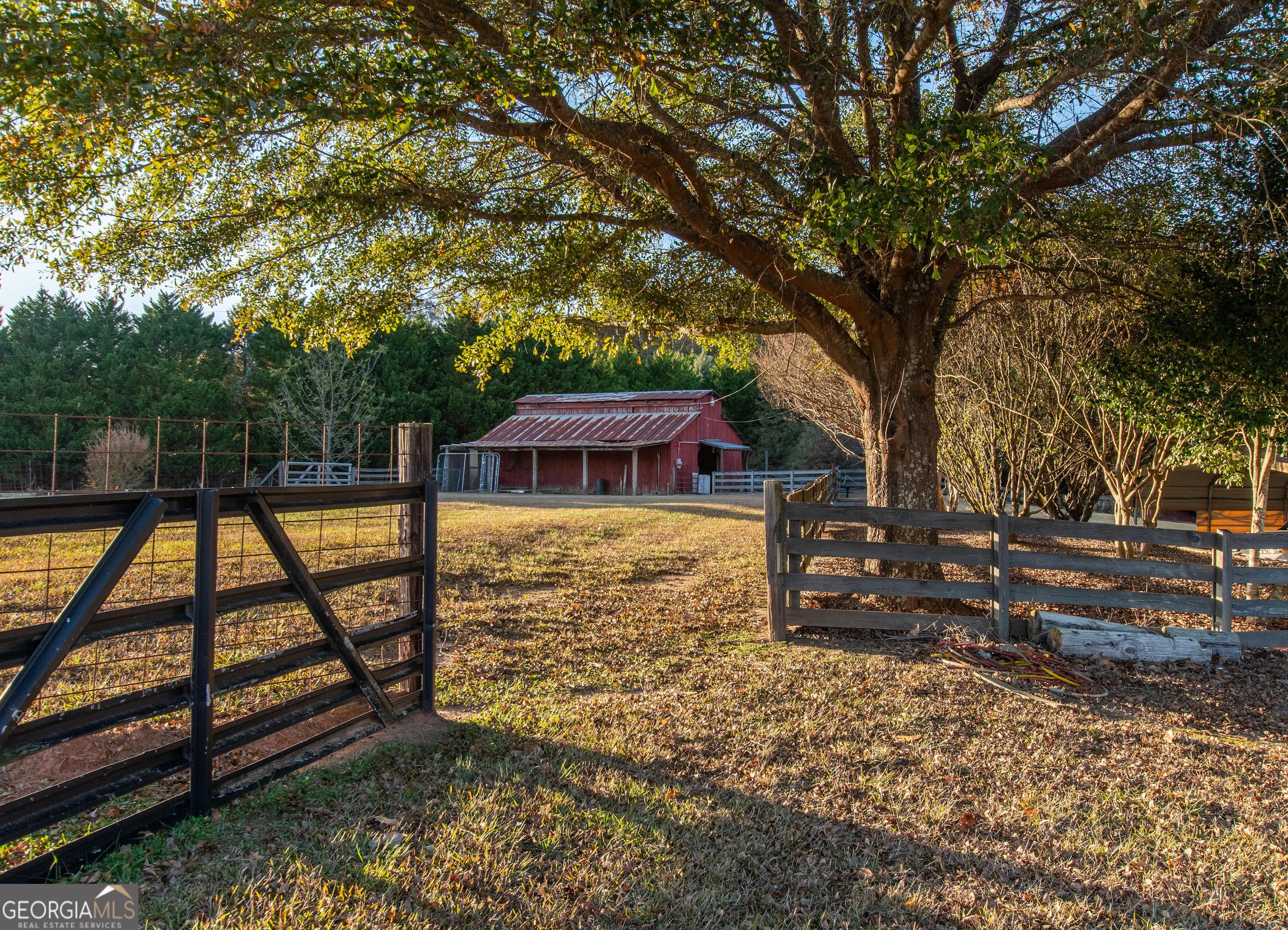 13819 Woolsey Road Hampton, GA 30228 - Photo 39 of 100 a view of a yard with wooden fence