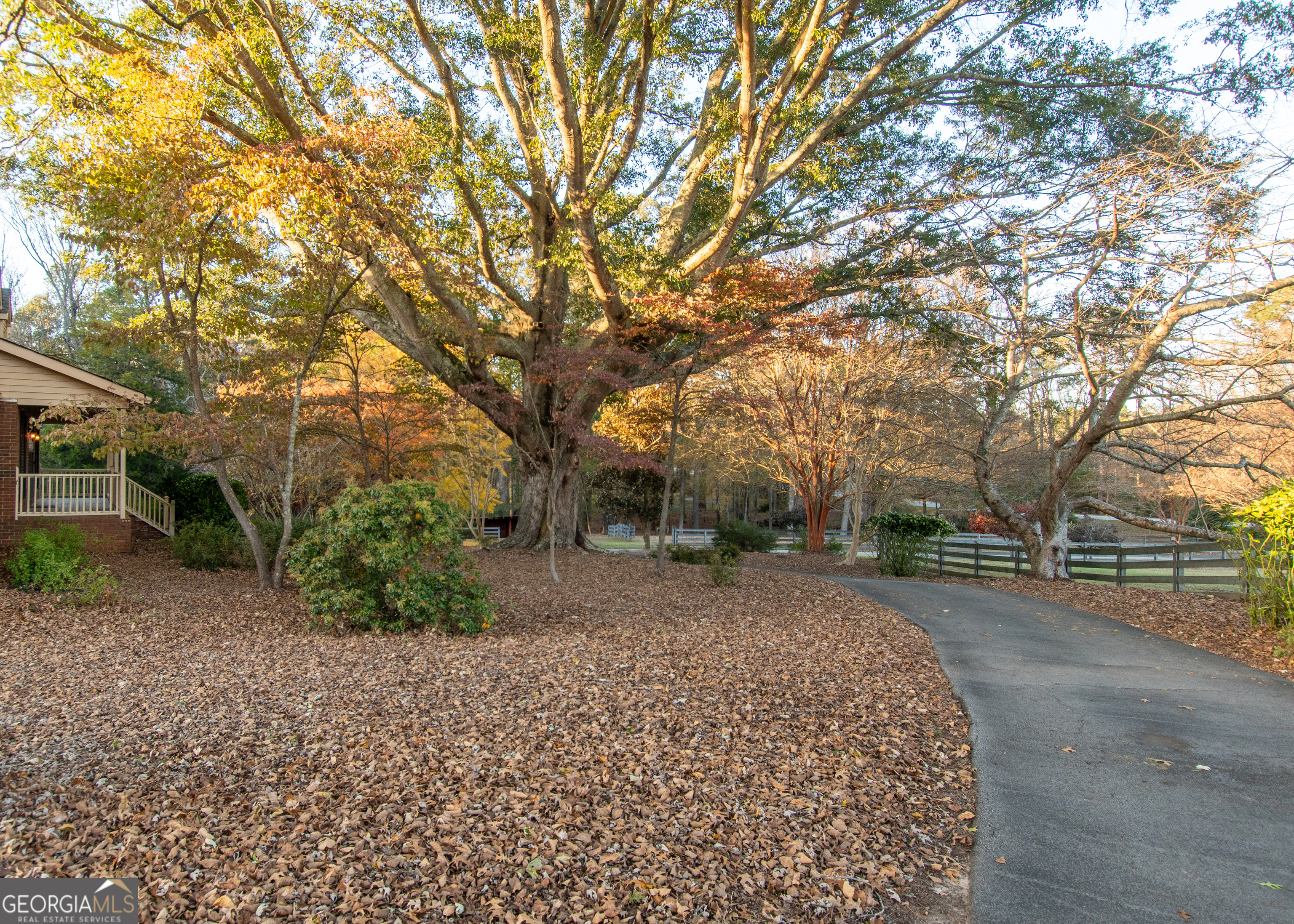 13819 Woolsey Road Hampton, GA 30228 - Photo 40 of 100 a view of a backyard with large trees