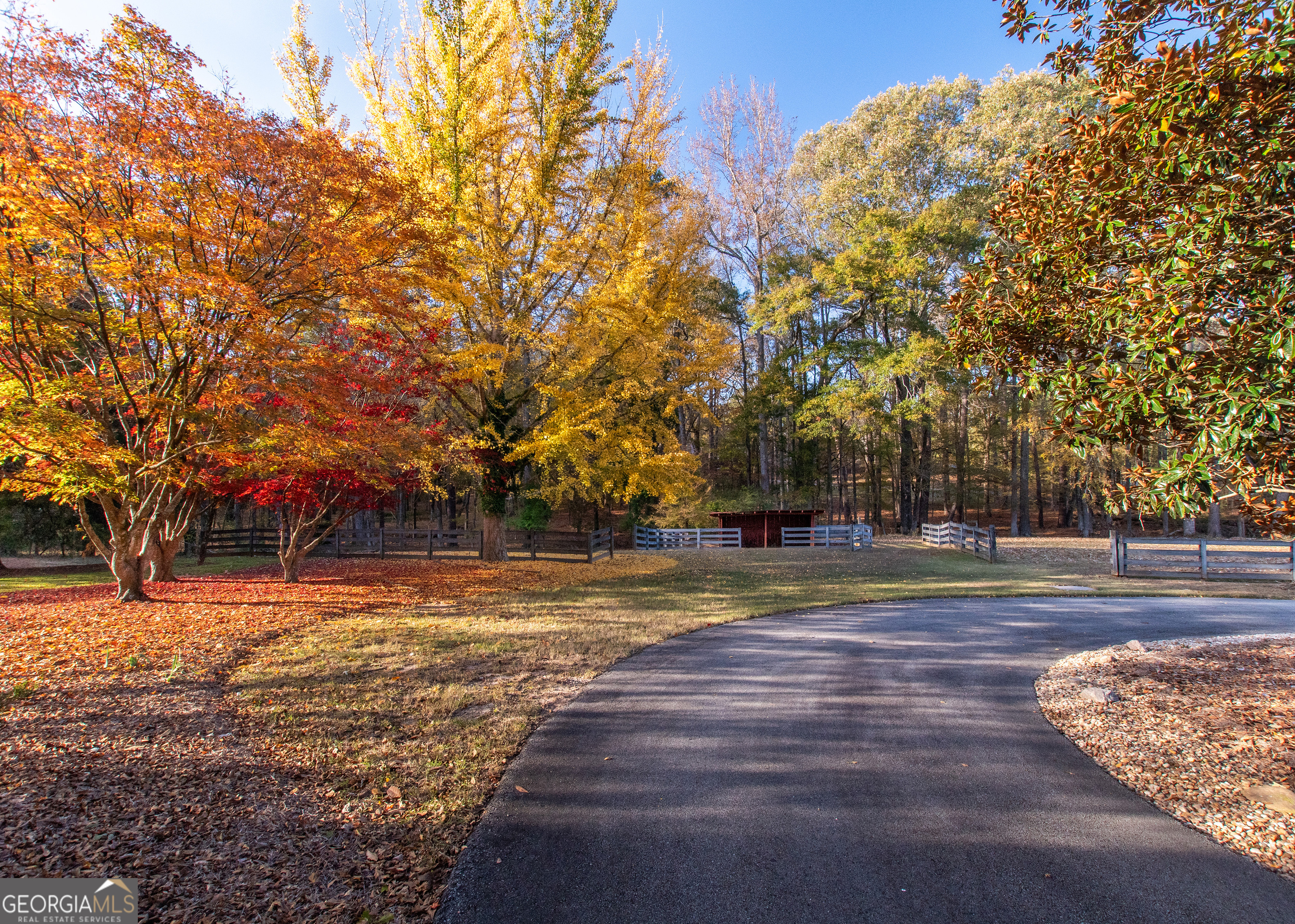 13819 Woolsey Road Hampton, GA 30228 - Photo 4 of 100