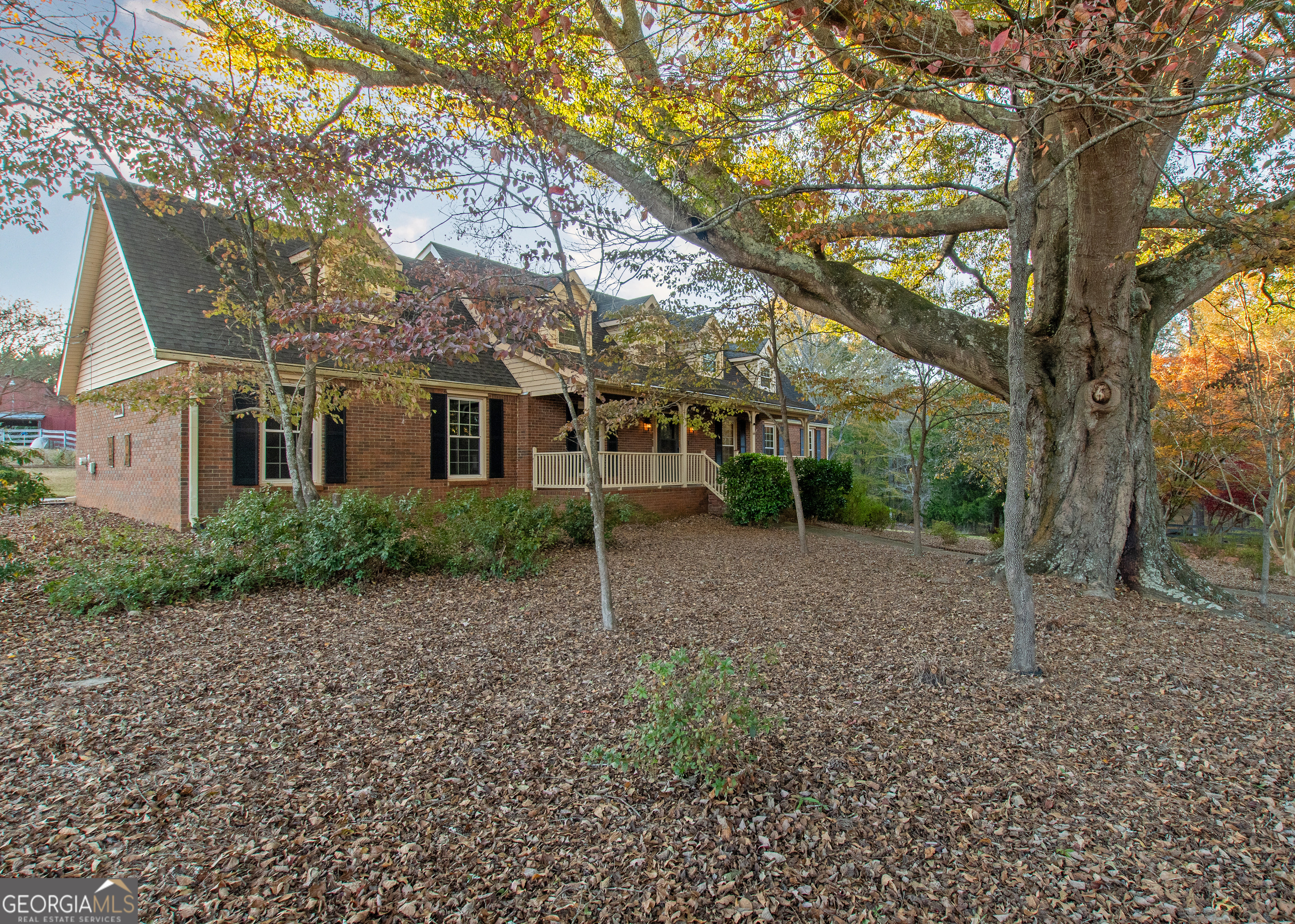 13819 Woolsey Road Hampton, GA 30228 - Photo 41 of 100 a view of a house with a yard and a tree