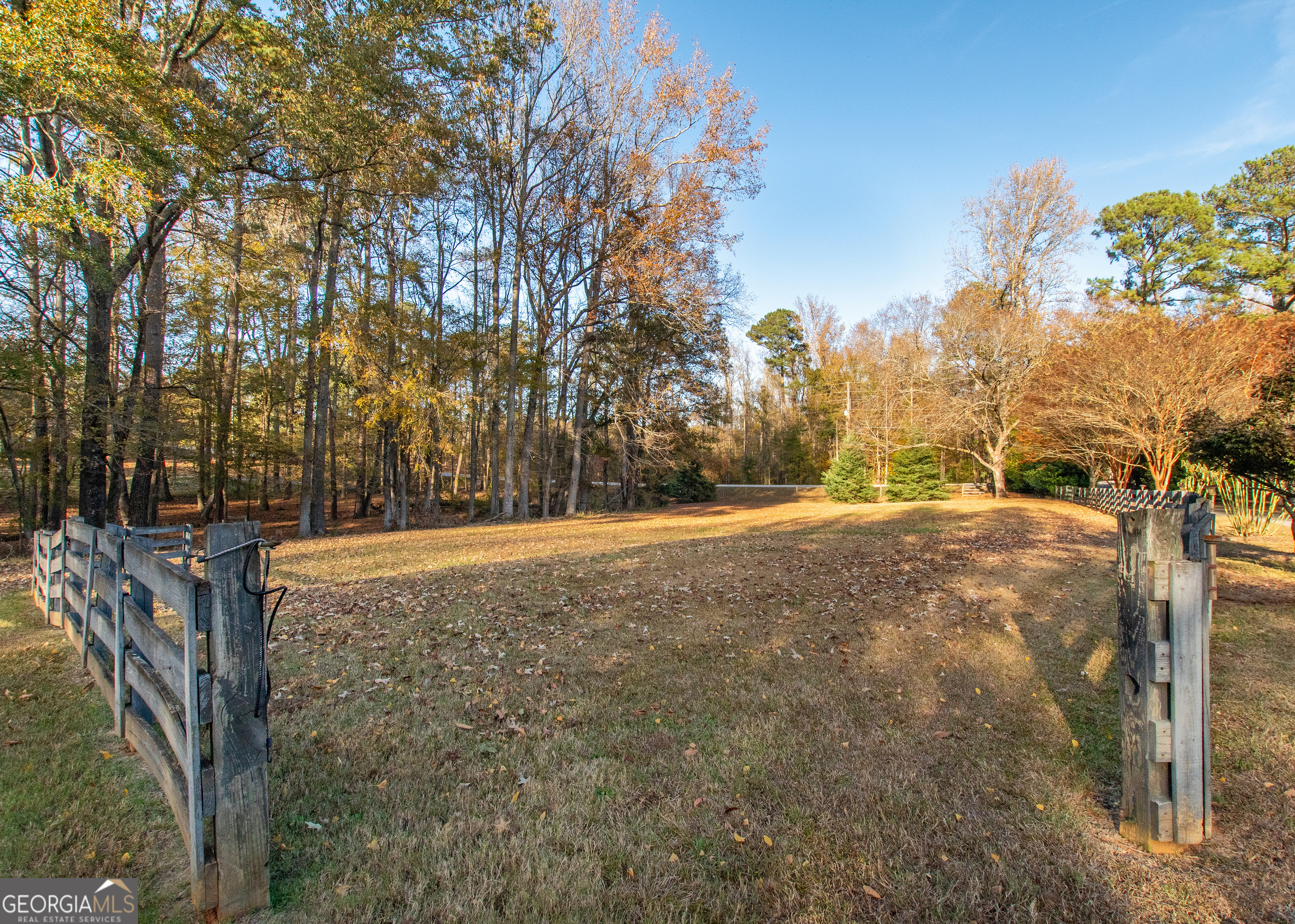 13819 Woolsey Road Hampton, GA 30228 - Photo 7 of 100 a view of outdoor space with trees