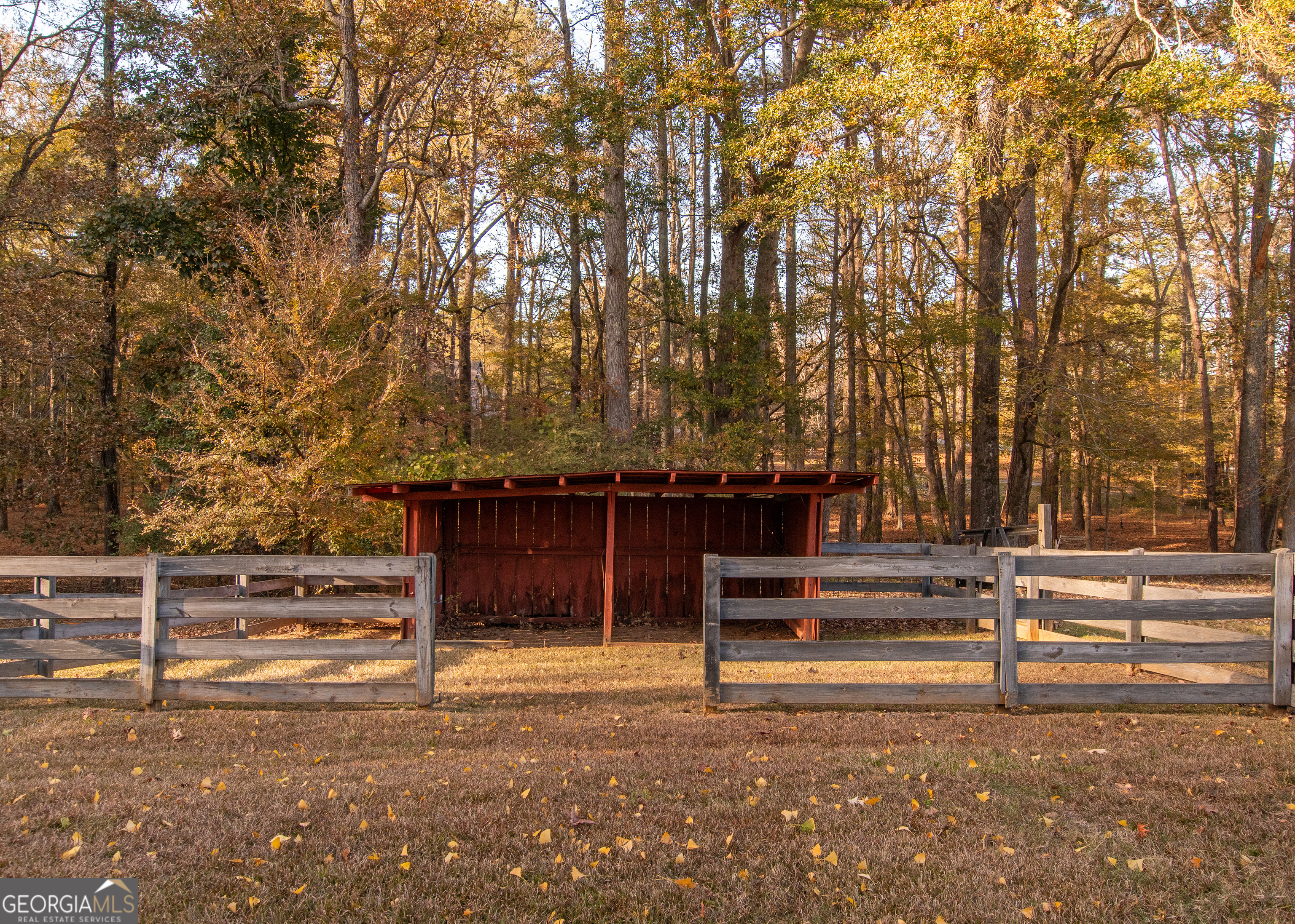 13819 Woolsey Road Hampton, GA 30228 - Photo 8 of 100 a front view of a house with a yard